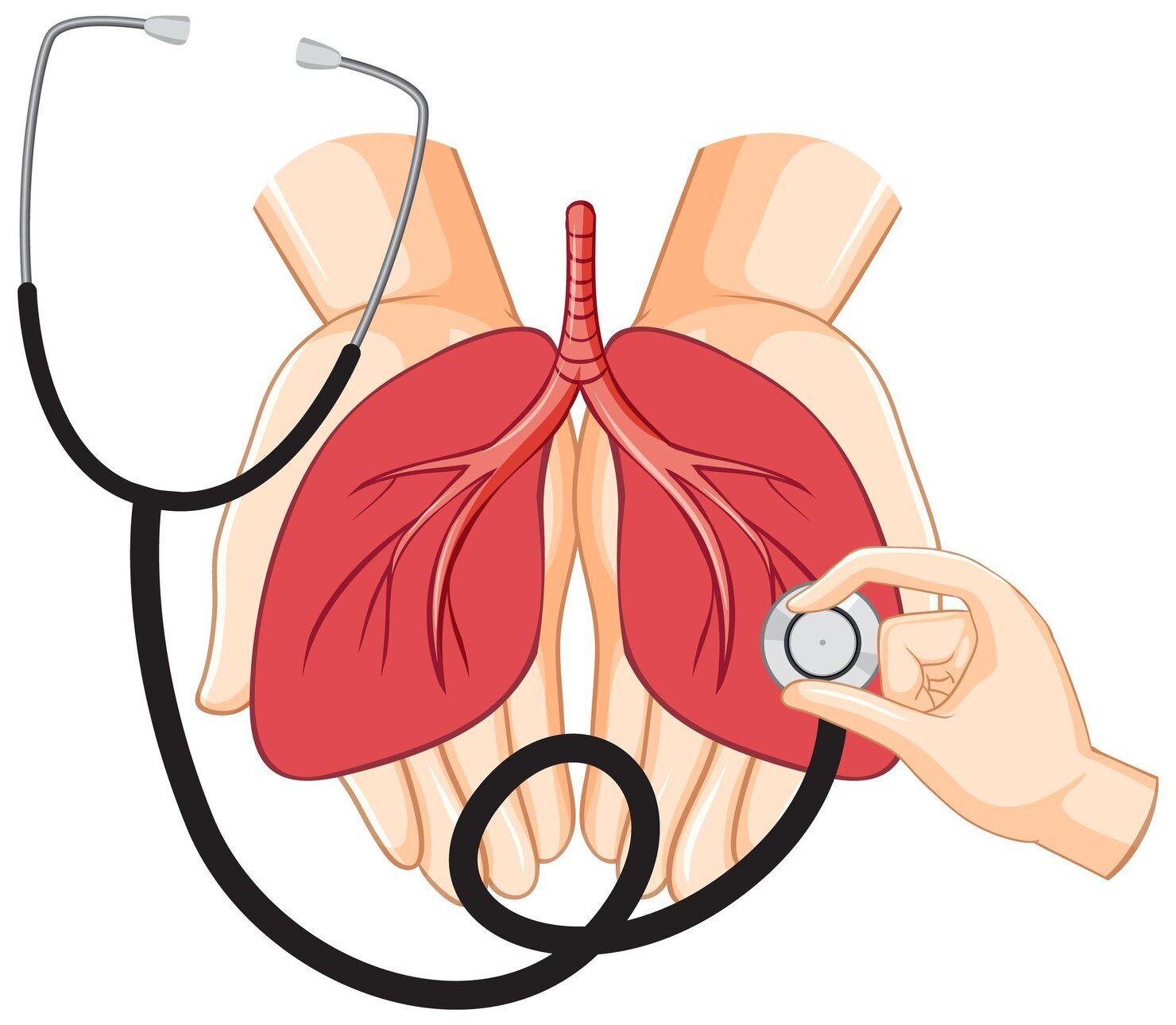 Procedure of Bronchoscopy